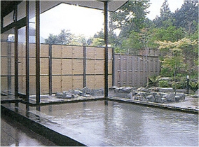 Shared Outdoor Hot Spring Bath at Hotel Tokugawa
