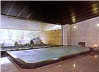 Shared Indoor Hot Spring Bath at Senhime Monogatari
