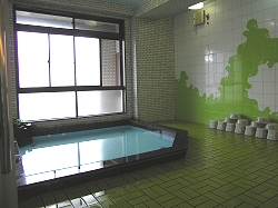 Shared Bath at Kaneyoshi Ryokan