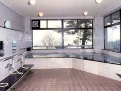 Shared Indoor Hot Spring Bath at Hotel Bokaiso