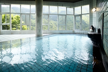 Indoor Hot Spring Bath at Hotel Iyaonsen