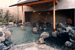 Shared Outdoor Hot Spring Bath