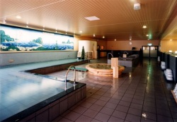 Shared Indoor Hot Spring Bath