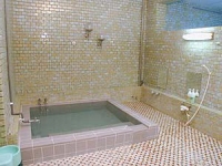 Men's Indoor Hot Spring Bath
