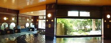 Shared Indoor Hot Spring Bath at Azumaen