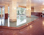 Indoor Hot Spring Bath at Miyazaki Ryokan