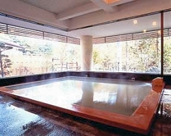 Shared Indoor Hot Spring Bath at Gensenkan