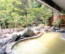 Shared Outdoor Hot Spring Bath at Gensenkan