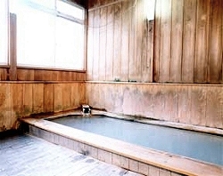 Shared Indoor Hot Spring Bath at Gensenkan