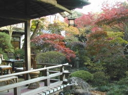 View of Arai Ryokan's Japanese Garden from a Terrace