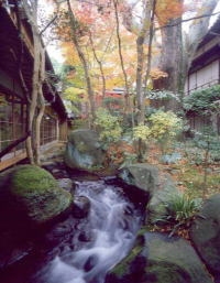 Arai Ryokan's Japanese Garden