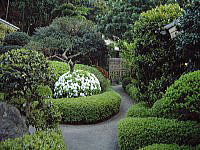 Ito Wakatsuki Bettei's Japanese Garden