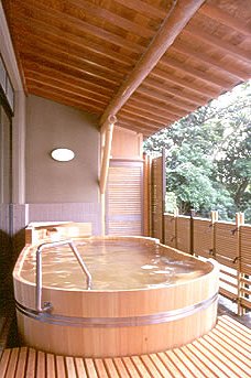 Outdoor Hot Spring Bath at Tsuwabukitei