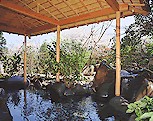 Outdoor Hot Spring Bath at Yukitei Ryokan