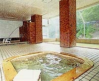 Shared Indoor Hot Spring Bath at Tenninkyo Grand Hotel