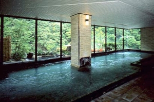 Indoor Hot Spring Bath at Entaijiso