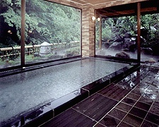 Shared Indoor Hot Spring Bath at Hakuunso