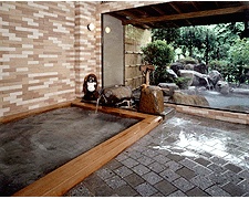 Shared Indoor Hot Spring Bath at Hakuunso