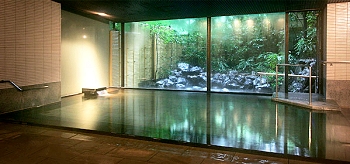 Indoor Hot Spring Bath at Sansuiro