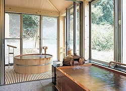 Indoor Hot Spring Bath at Hotel Futaba