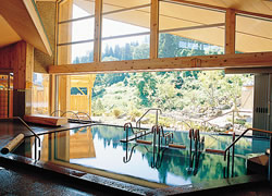 Indoor Hot Spring Bath at Hotel Futaba