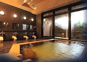 Indoor Hot Spring Bath at Otowaya Ryokan