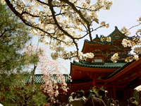 Heian Shrine in Springtime, Kyoto