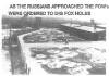 Fox holes dug at Stalag Luft I 