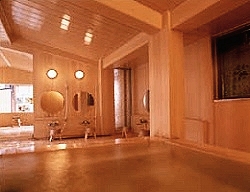 Shared Indoor Hot Spring Bath at Yamagishi Ryokan