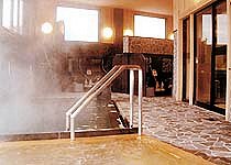 Indoor Hot Spring Bath at Nakamurakan
