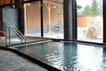 Indoor Hot Spring Bath at Nakamurakan