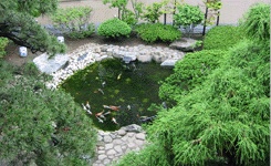 Japanese Garden