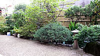 Garden Area