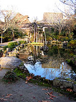 Garden, Pond and Path