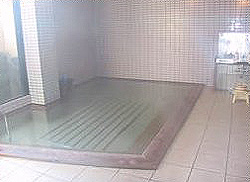 Shared Hot Spring Bath at Seikaiso (Same Sex Only)