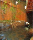 Outdoor Hot Spring Bath, Yumotoso Ryokan