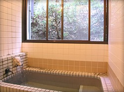 Shared Indoor Hot Spring Bath (Same Sex Only)