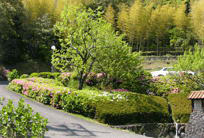 Japanese Garden at Kairakuen