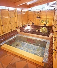 Shared Hot Spring Bath (Same Gender Only)