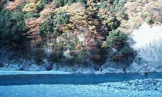 Fall leaves along the Kurobe River, Unazuki Onsen, Japan
